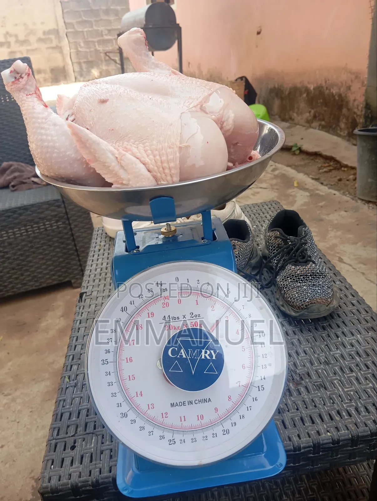 Poultry and Eggs