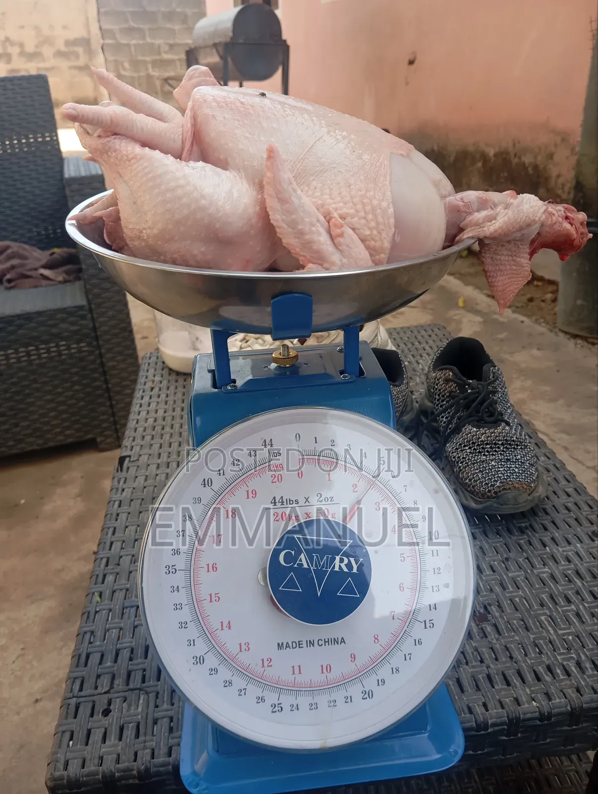 Poultry and Eggs