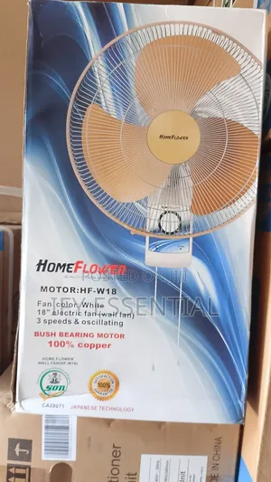Standing Fan