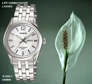 Casio LTP-1335d-7avdf Silver Stainless Steel Strap Watch for Women