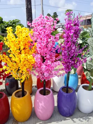 Flower Pots and Flowers