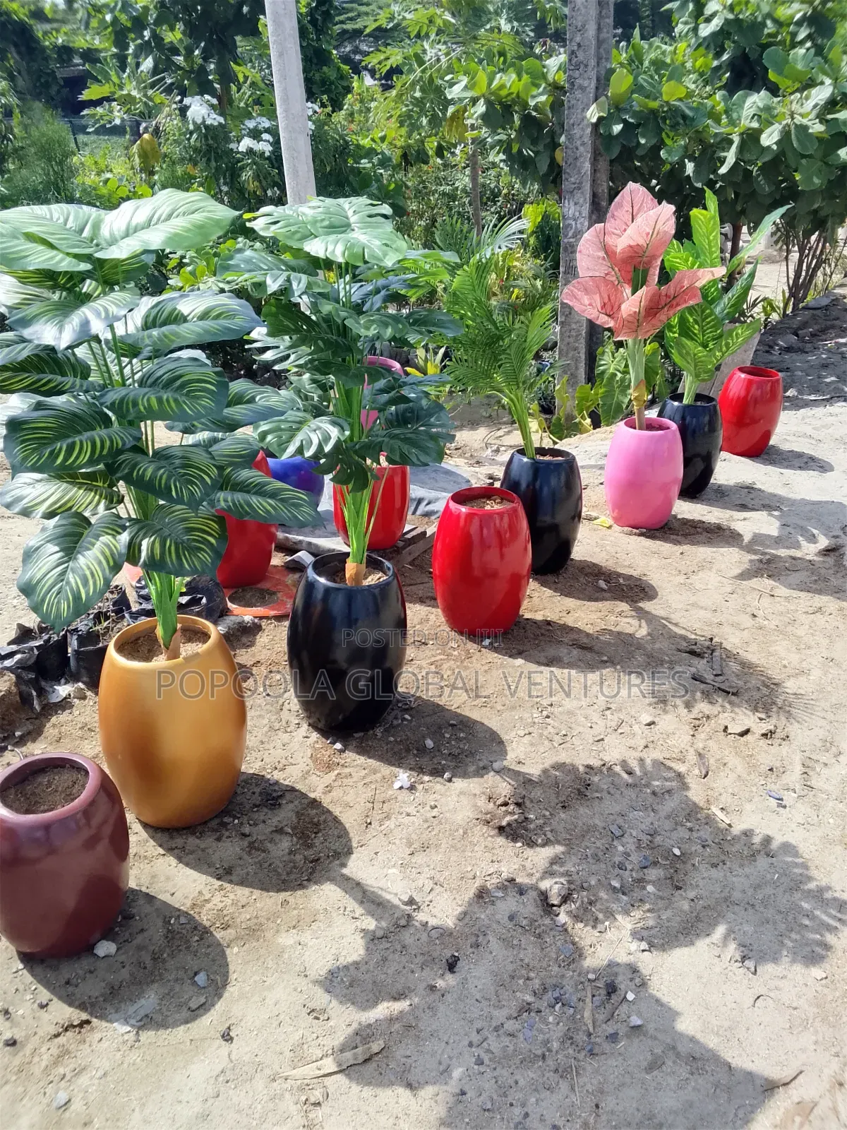 Flower Pots and Flowers
