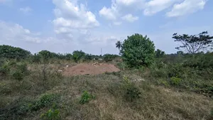 5 Plots For Sale At Akoda-ede, Ede, Osun State.