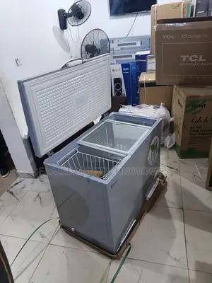 High-Performance 318l Bona Solar Freezer for Pure Water Business