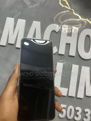 Samsung Galaxy Z Flip6 256 GB Gray
