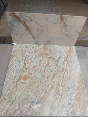 Bathroom Floor Wall and Floor 60by60 High Quality