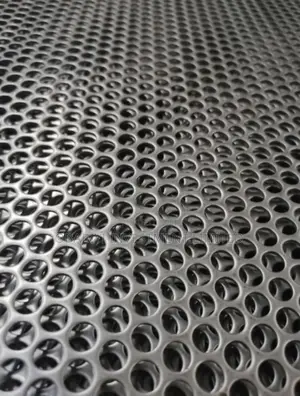 Stainless Steel Perforated Sheet