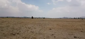 6 Plots of Land for Sale