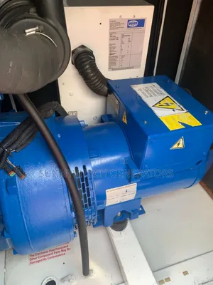 30kva Ecoplus Perkins Fg Wilson