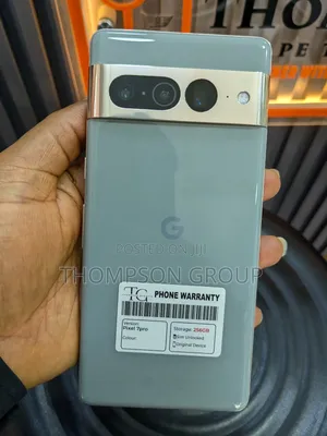 Google Pixel 7 Pro 256 GB Gray