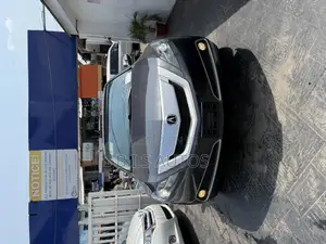 Acura ZDX Base AWD 2010 Gray