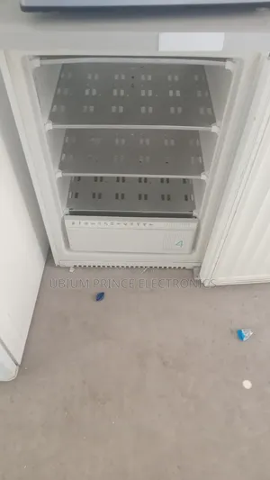 Liebherr 4 Steps Standing Freezer
