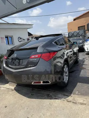 Acura ZDX Base AWD 2010 Gray