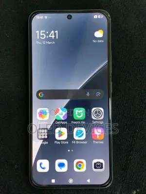 Xiaomi 15 512 GB Gray