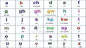 Igbo Language Tutoring