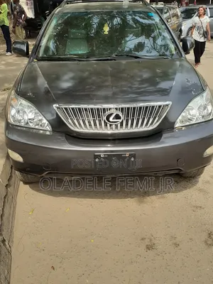 Lexus RX 300 4WD 2004 Gray