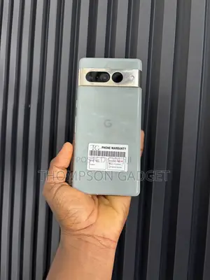 Google Pixel 7 Pro 256 GB Gray