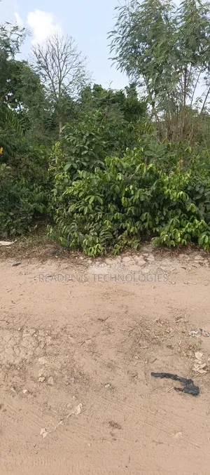 2plot of Land