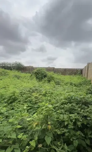 A Fully Secured Gated Prime Residential Plot 512sqm at New Kasumu Estate