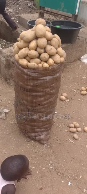Potato At Its Best