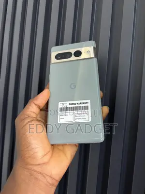 Google Pixel 7 Pro 256 GB Gray