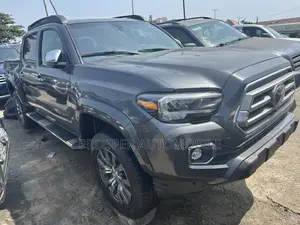Toyota Tacoma Limited V6 4x4 Double Cab 127.4 in. WB 2020 Gray
