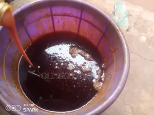 Billions Organic Palm Oil