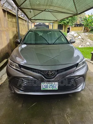 Toyota Camry LE (2.5L 4cyl 8A) 2019 Gray