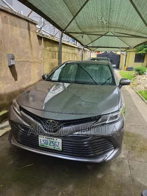 Toyota Camry LE (2.5L 4cyl 8A) 2019 Gray