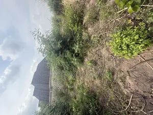 A Plot of Land