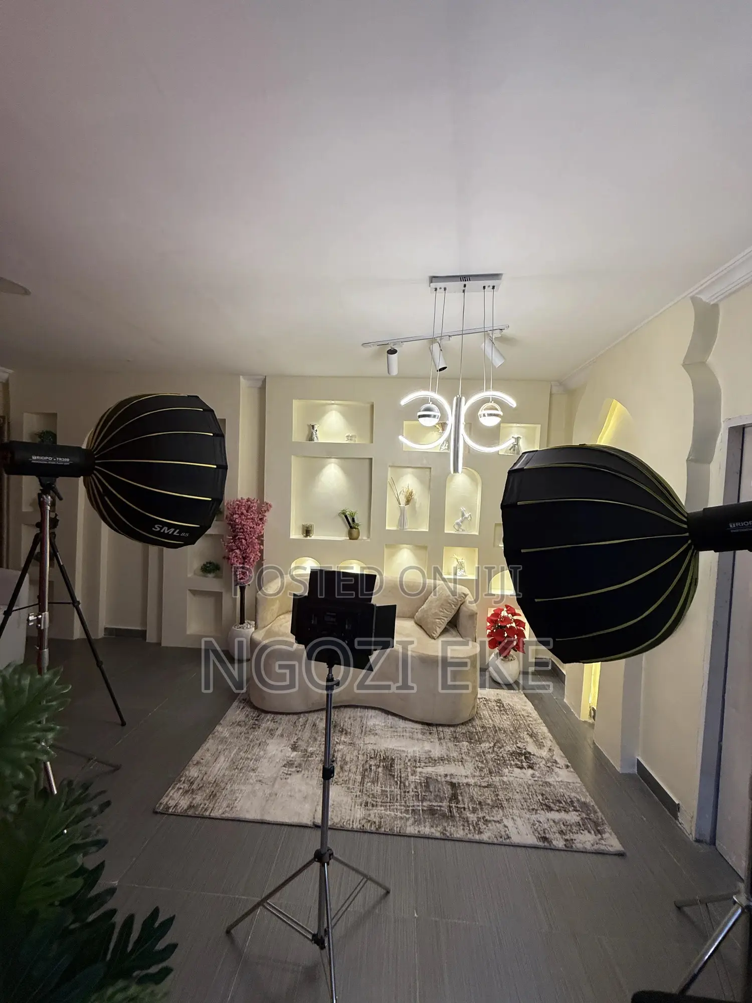 Electra Studio Goldwing