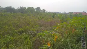 2 Plots of Land