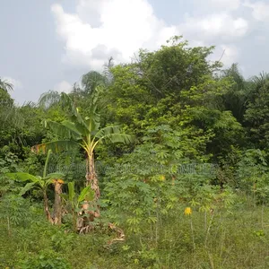 Prime Land Selling Now for Residential Purpose