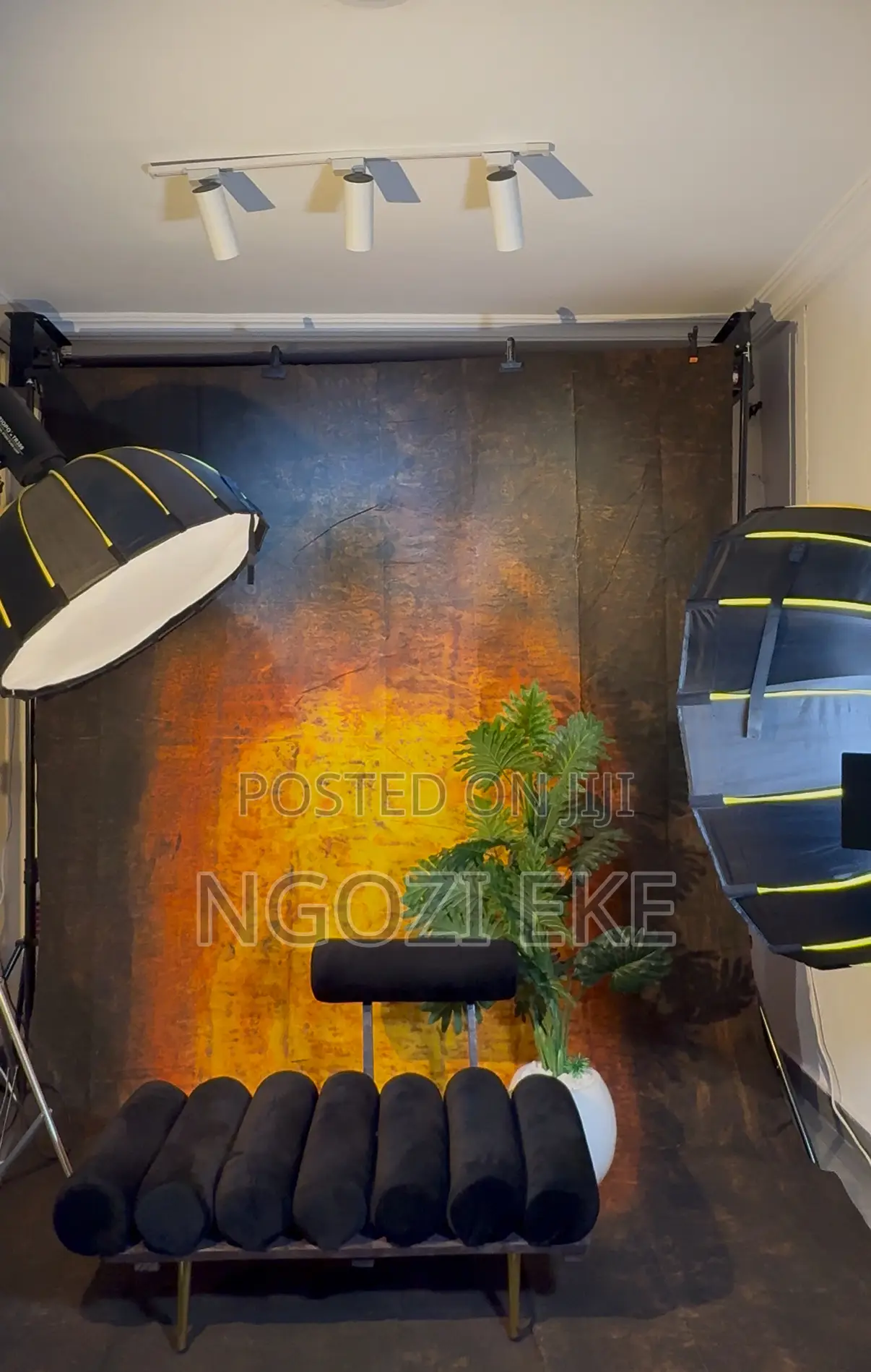 Electra Studio Backdrop Space