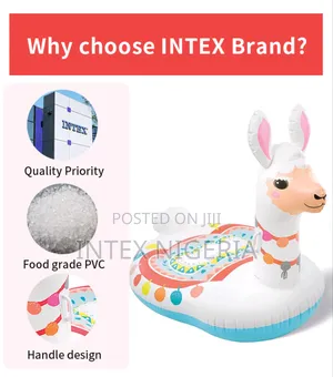 Intex Inflatable Cute Ll