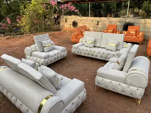 Unique Touches Golden Ciriculus Luxury Sofa,Gray Colour