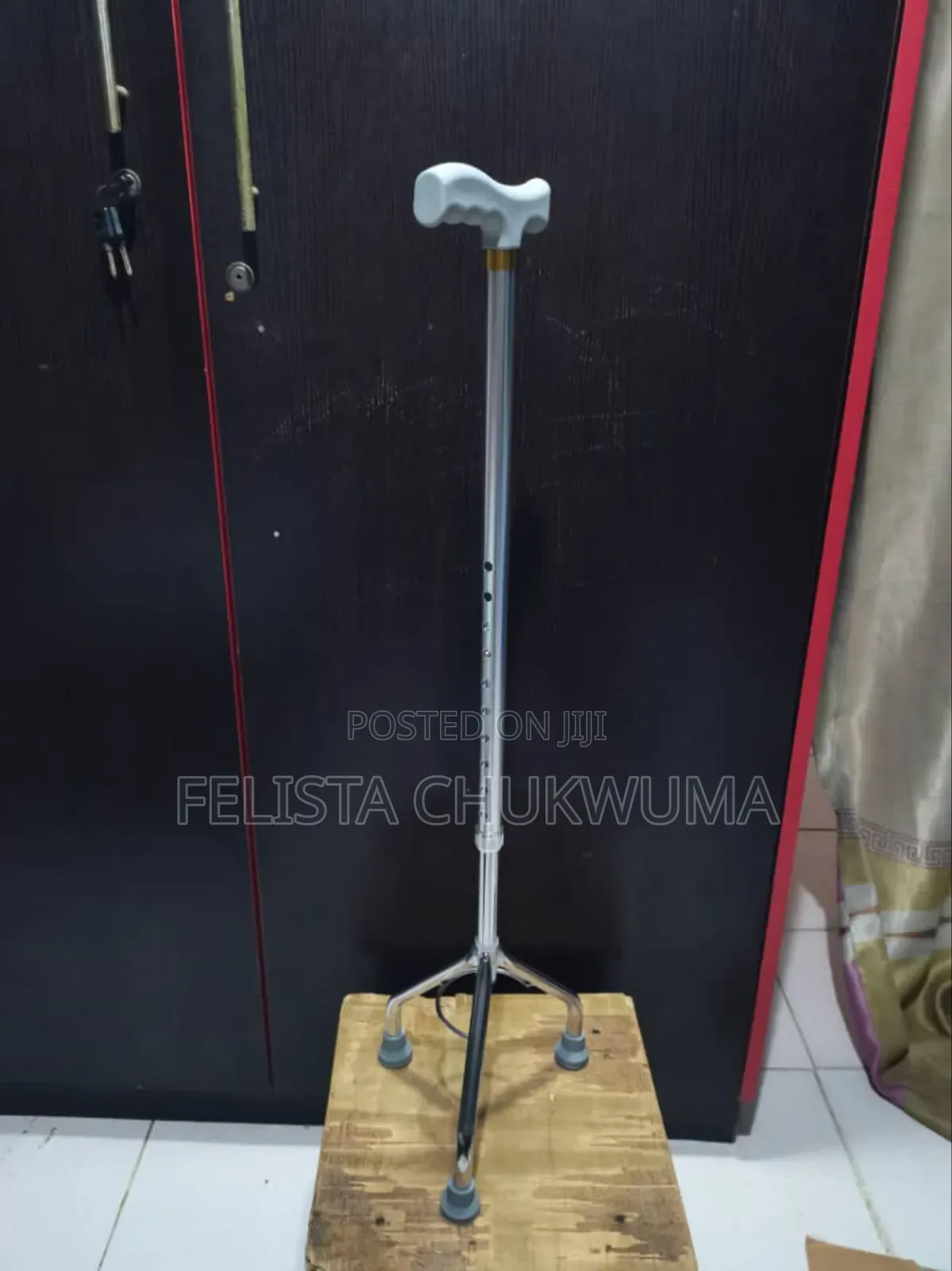 Walking Stick