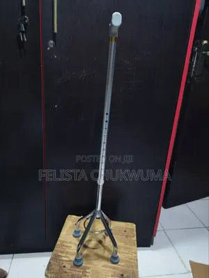 Walking Stick