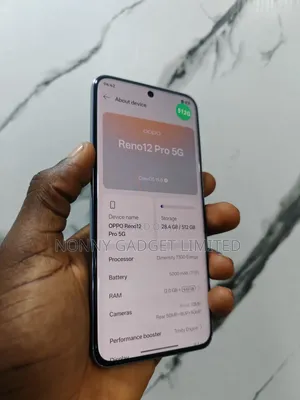 Oppo Reno12 Pro 5G 256 GB Silver