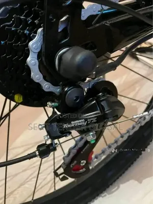 Adult Sports Bike