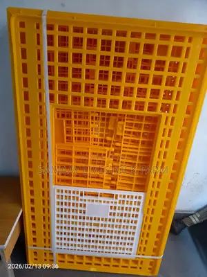 Transport Birds Crates