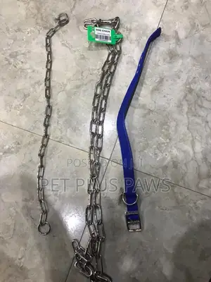 Dog Chain, Dog Collar and Dog Choker