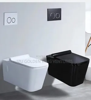 Conceal Wc(Square Shape)