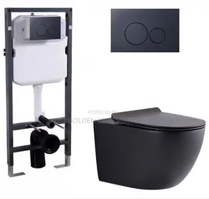 Black Conceal Wc Curved
