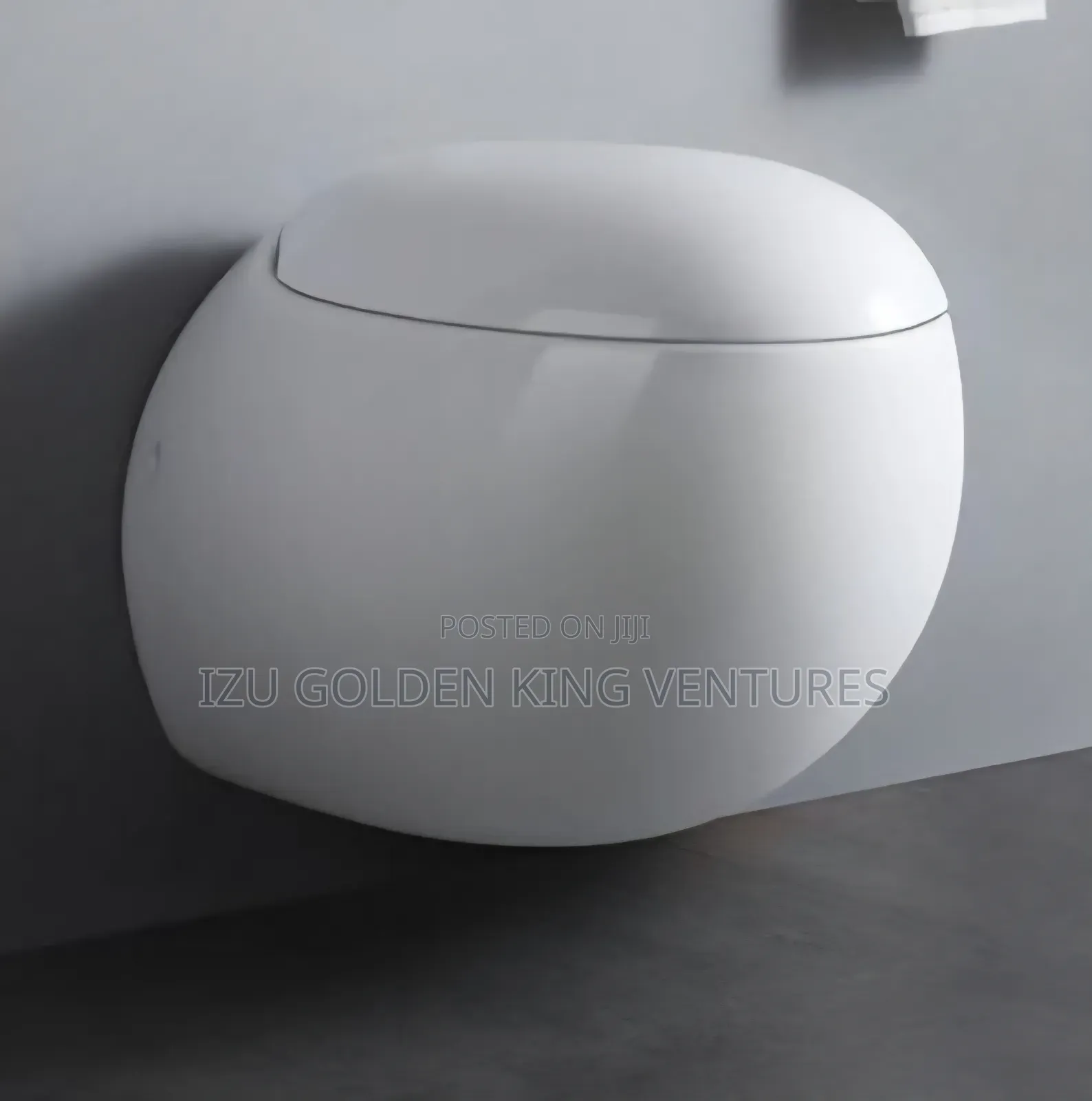 Conceal Wc (Egg Shape)