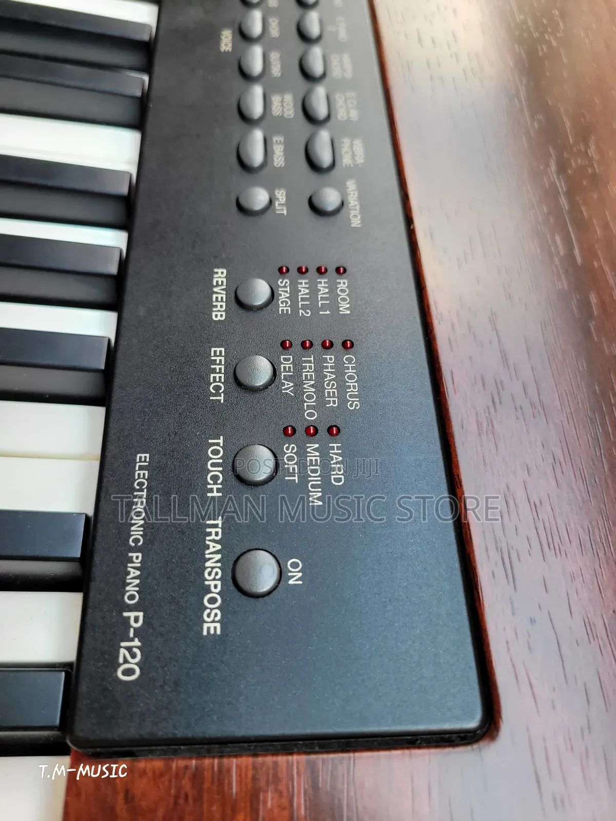 Yamaha P120