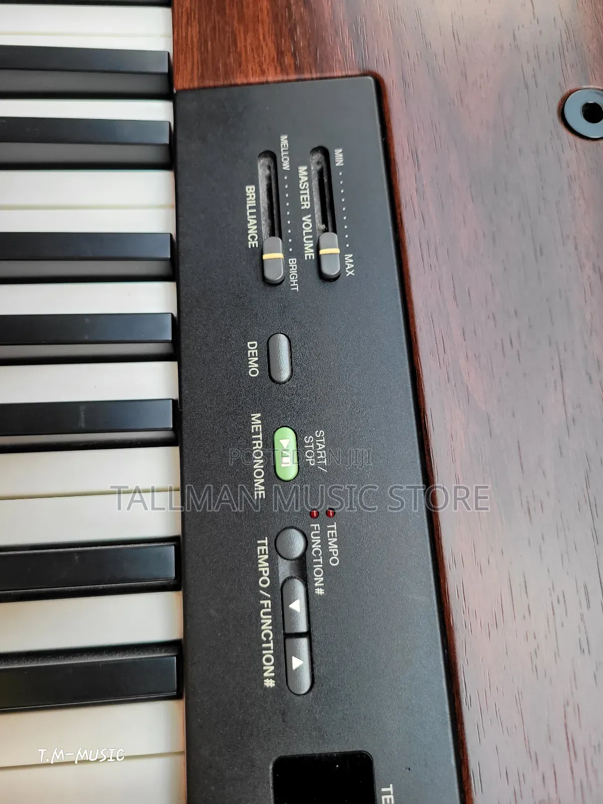 Yamaha P120