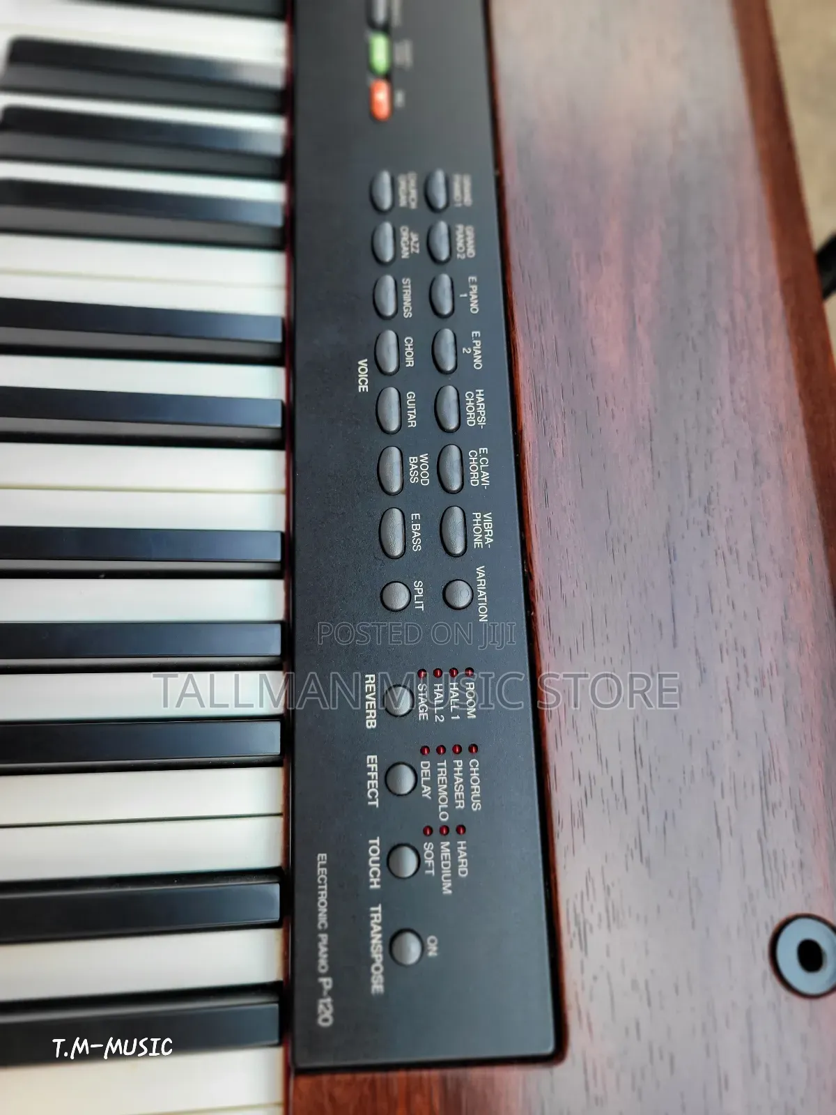 Yamaha P120