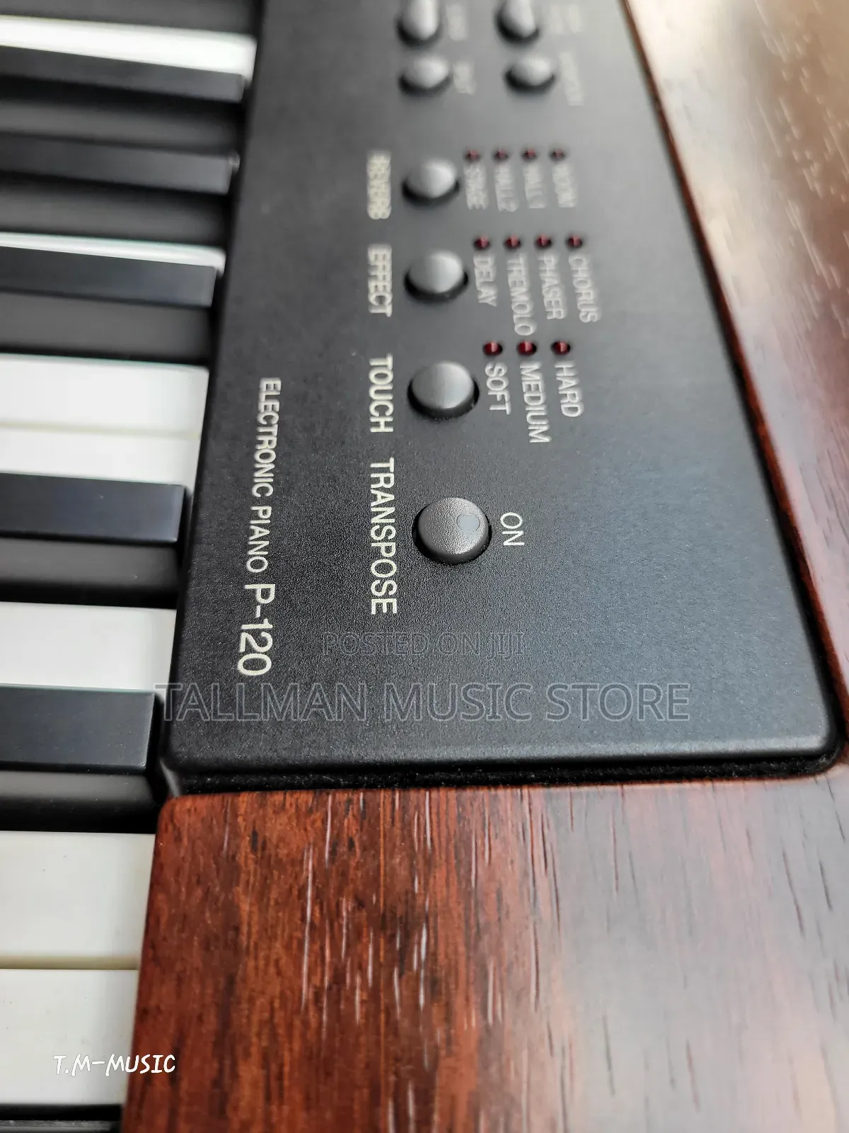 Yamaha P120