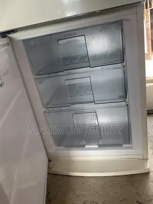 Servis 335 LTRS Clean German Used Double Door Refrigerator